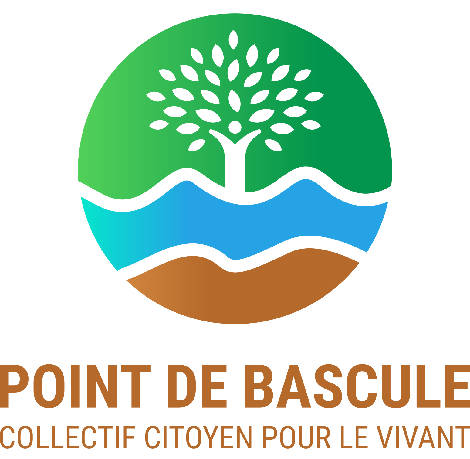 Point de Bascule